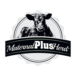 Maternal Plus